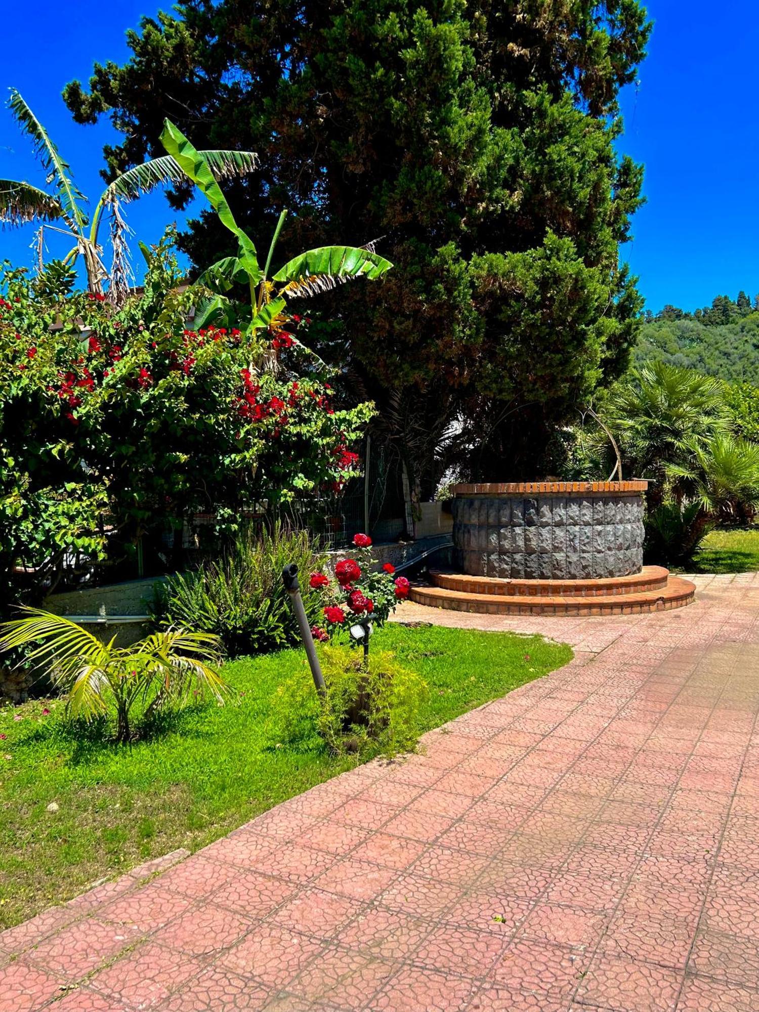 B&B Villa Rodriguez ミラッツォ エクステリア 写真